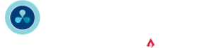 Bluetowne - Information Technology Confidence